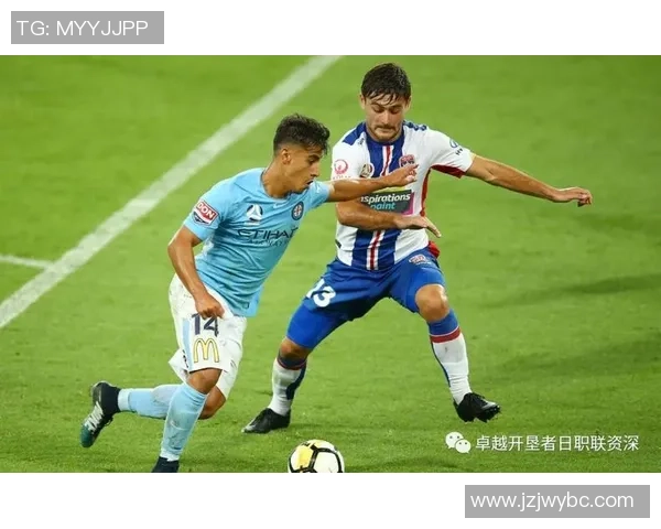 南锡与尼奥尔2017年精彩对决回顾及赛季表现分析